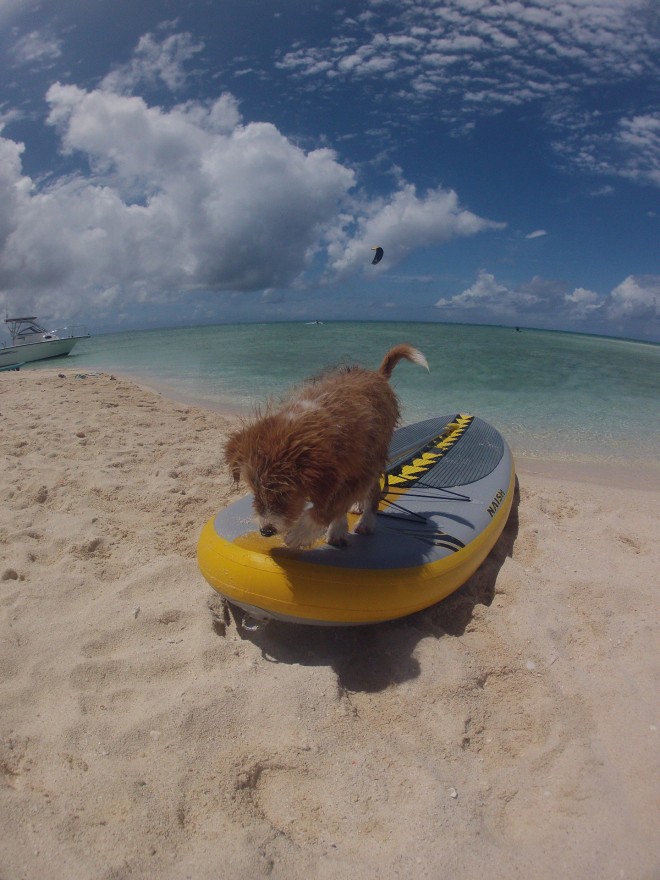 DCIM100GOPRO